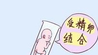 2026年单身去河北省人民医院做三代试管的成功率怎么样？需要哪些证件