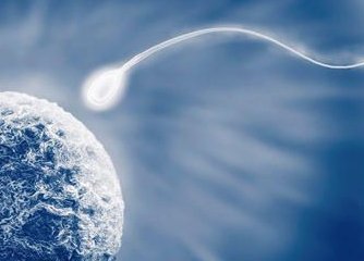 重庆医院试管婴儿排行，谁家技术更胜一筹？