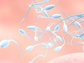 广西柳州市最出名的助孕机构有哪些名单？这几家深受不孕患者欢迎